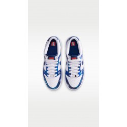 Αθλητικά παπούτσια Nike dank